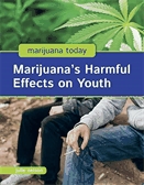 Marijuana's harmful effects on youth