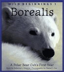 Borealis  : a polar bear cub's first year.