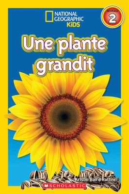 Une plante grandit