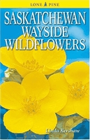 Saskatchewan wayside wildflowers