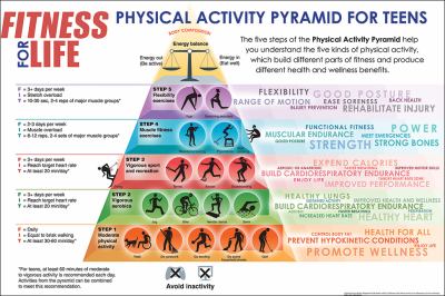 Fitness for life Canada. Physical activity pyramid for teens [poster]