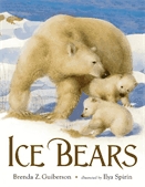 Ice bears