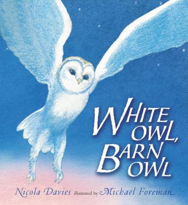 White owl, barn owl