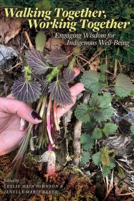 Walking together, working together  : engaging wisdom for Indigenous well-being